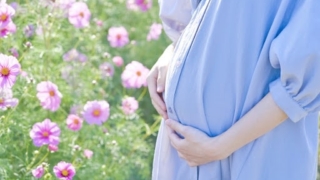 花畑の中でお腹に手を当てる妊婦。