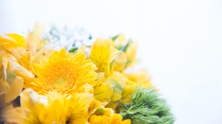 明るい背景に黄色い花の花束。