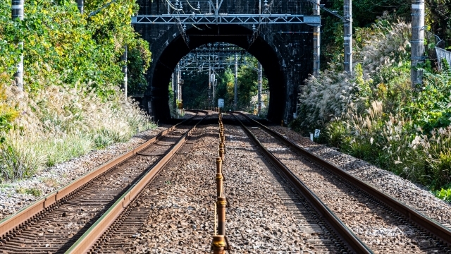 秋の風景の中にある鉄道のトンネル