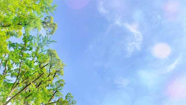 青空と緑の木々。自然の風景が心をリフレッシュさせる様子を表現。