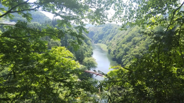 一日で22km歩いた山登りの途中で見下ろした、新緑に囲まれた渓谷と川の風景