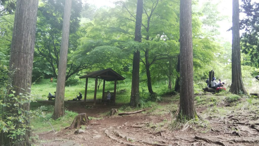 一日で22km歩いた山登りの途中、登山道の森の中にある休憩所で立ち止まる様子