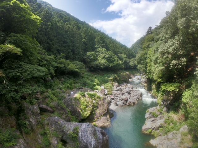 パニック障害のセルフケアとして訪れた森林の渓谷風景。緑豊かな山々と澄んだ川が流れる自然の癒しスポット。